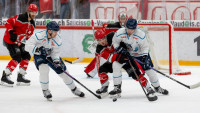 hokej suisse-france-091